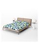 Divine Casa Double Bed Cotton Fitted Bedsheet With 2 Pillow Cover - Blue Grotta