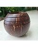 Thenga Coconut Shell 3 line Planter - Brown