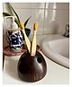 Thenga Coconut Shell Tooth Brush Holder - Brown