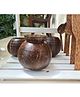 Thenga Coconut Shell Pot Shaped Planter - Brown