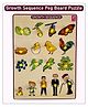 Wissen Growth Sequence Peg Board Puzzle Game- 23 cm