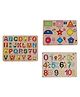 MINDMAKER Wooden Puzzle with Knobs - Multicolour