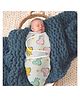  Zikku Baby Swaddle Wrappers for Newborn - Dino Print