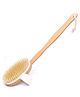 Organic B's 2-in-1Dry Skin Body Brush with 14 inch Removable Wood Handle