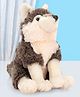 Wild Republic Wolf Sitting Brown  - Height 20.5 cm