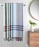 FABINALIV Unisex Set of 4 Striped 225 GSM Cotton Bath Towels - Multicolor