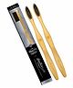 The Mouth Company Flat Handle Bamboo Toothbrush with Charcoal Activated Bristles, Biodegradable Gentlebrush - Pack of 2