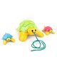 Giggles Linking Turtle - Multicolor