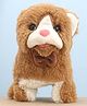 Aarohi Toys Musical Poochie Cat Brown & White  -Length 15 cm