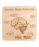 NESTA TOYS - Human Brain Anatomy Puzzle - 13 Pieces