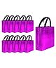 Evafly Gift Bags Reusable Shopping Bag with Handle Carry Bag Pack Of 10 - Pink