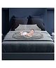 LifeKrafts Foldable Baby Mosquito Net Bottomless - Grey
