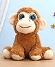 Funzoo Glitter Eyes Monkey Soft Toy Toffee Brown - Height 20 cm (Color May Vary)