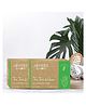 Jovees Herbal Tea Tree & Clove Oil Control Soap Pack of 2 - 100 g Each