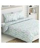 Haus & Kinder Elegant Blooms 186 TC 100 Percent Cotton Double Printed Bedsheet - Multicolor