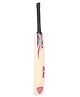 Elan Willow Junior Cricket Bat Full Size - Pink & Blue