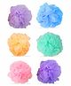 Gubb Loose Loofah Assorted Pack Of 6