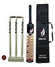 Airic Stylish Popular Willow Scoop Bat Wickets with Tennis Ball and Cover Cricket Kit