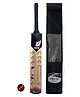 Airic Stylish Light Popular Willow Scoop Bat with Tennis Ball and Cover Cricket Kit