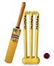 Airic Trendy T20 Durable Plastic Set Cricket Kit