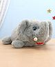 Aarohi Toys Musical  Rolling And Talking  Rofl Elephant Grey - Length 30 cm