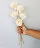 Vanchai Tree peony Sola Flower Pack of 5 - Off White
