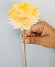 Vanchai Ombrey Zinnia Sola Flower Pack of 5 - Yellow