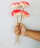 Vanchai Scarlet Red Sola Flower Pack of 5 - Red