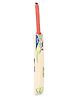 Elan Ms Willow Cricket Bat (Colour May Vary)