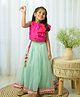 Fairies Forever Sleeveless Sequin Embellished & Flounce Detailed  Choli With Lehenga  - Pink