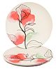 Earthism Eco Friendly Bamboo Fibre Dinner Plates 11