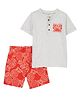 Carter's Baby 2-Piece Henley Tee & Pineapple Short Set - Grey