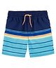 Carter's Striped Swimming Trunks - Navy Blue