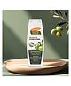 Olive Oil Formula Shine Therapy Conditioner - 400ml