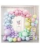 Chocozone Macron Balloons Birthday Decoration Items - Pack of 132