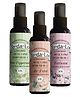 Absorbia to Da Loo Toilet Sanitizer Spray Pine Paper mint Balsam & Air Petal Pack of 3 - 150 ml