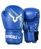 Invincible Amateur Training Gloves 10 OZ- Blue