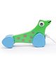 OpaToys Wooden  Push & Pull along Toy (SEA LION) (Green) -  Large Size  (1 pcs) I 12 months+