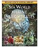 Pegasus - Marine Invertebrates