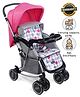 Babyhug 2 in 1 Rock and Roll Stroller Cum Rocker - Grey Pink
