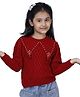 JoE Hazel Full Sleeves Peter Pan Collar Pearl Embellished & Wooven Detailed  Pullover Sweater -  Brick Red