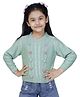 JoE Hazel Full Sleeves Woven Design Detailed Bobbles Jumper Sweater - Sea Green