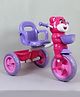 Funrise Baby Tricycle with Comfortable Seat  Arm Rest and Back Rest Strong Metal Pipe Frame Musical Horn Smooth EVA Wheels Vibrant - Pink