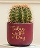Purezento Daisy- Today is the Day Handcrafted Terracotta Planter - Maroon