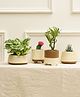 Purezento Gardenia Handcrafted Terracotta Set of 4 - Multicolour