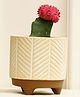 Purezento Gardenia Terracotta Planter  Model B- Cream