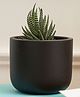 Purezento Jeanie Terracotta Planter- Black
