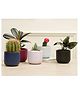Purezento Jeanie Combo Terracotta Set of 5 Planters - Multicolour