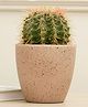 Purezento Marabelle Terracotta Planter- Rose Gold