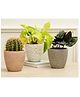 Purezento Marabelle Combo Terracotta Set of 3 Planters- Grey, Rose Gold, White